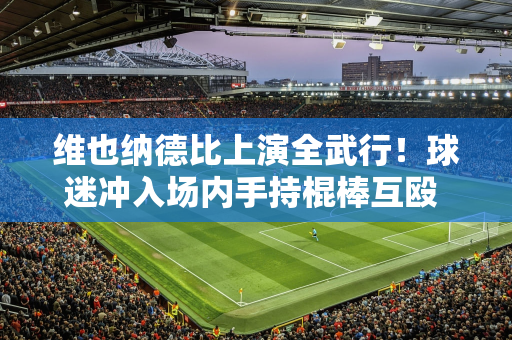 维也纳德比上演全武行！球迷冲入场内手持棍棒互殴 警察介入才得以平息